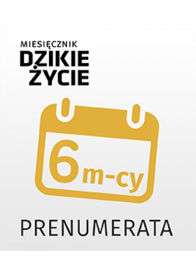 Prenumerata półroczna - 5 wydań miesięcznika. Dostępne formaty: wersja papierowa, epub, mobi